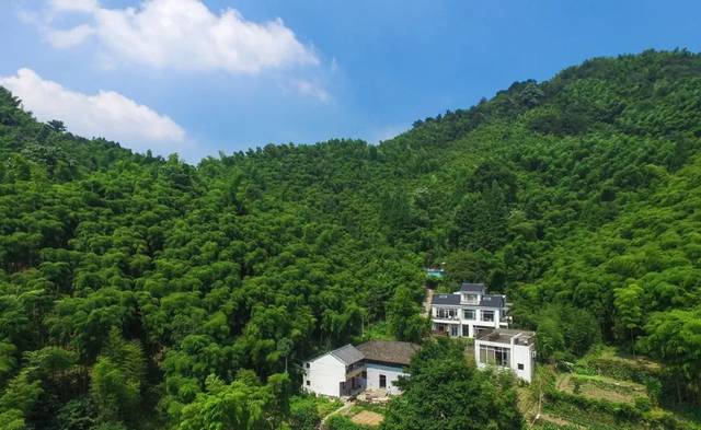 1h抵达杭州西郊的静谧山墅,竹林晚霞,露台晚餐,山景泳池唱一出秋日