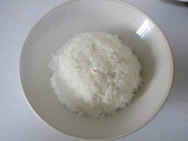 6,等米饭煮好后,用饭勺拌匀翻松,盛入碗里,一罐大米刚好一碗米饭,这点