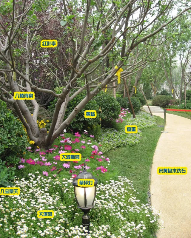 (附植物配置案例图)