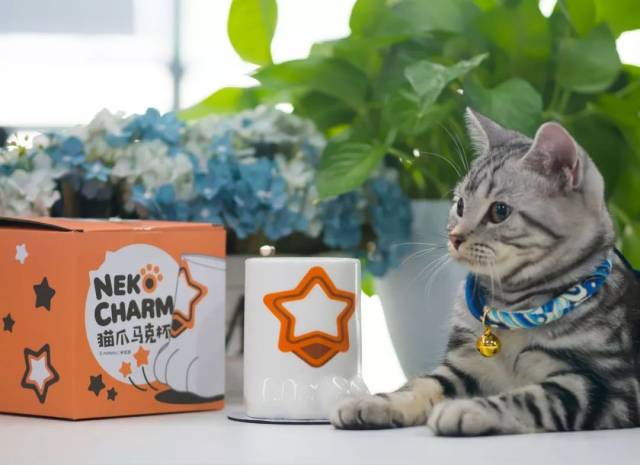 neko charm!这一天,爱酱回想起了被猫爪杯暴打的恐惧