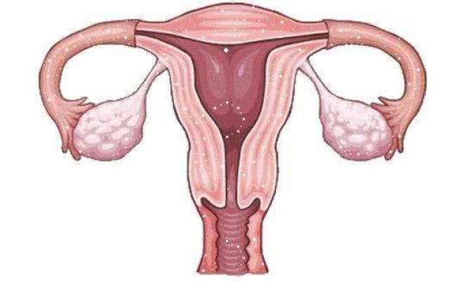 健康的女人看卵巢, 备孕怀孕的女人看月经,这点很多女人弄糊涂
