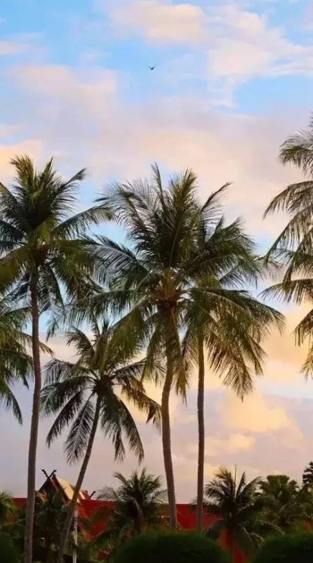 开心麻花新电影取景地爆火,在这个处女岛变网