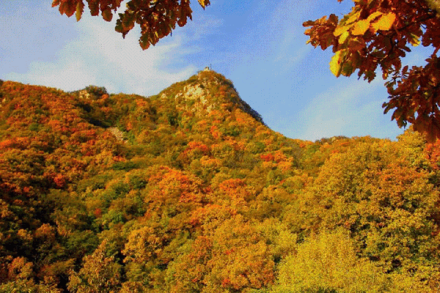 壁纸 风景 640_426 gif 动态图 动图