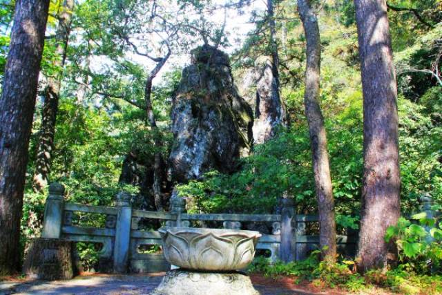 四面峰旁边有座山峰似倒挂的莲花,叫"倒挂莲花峰.