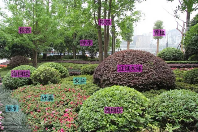 (附植物配置案例图)