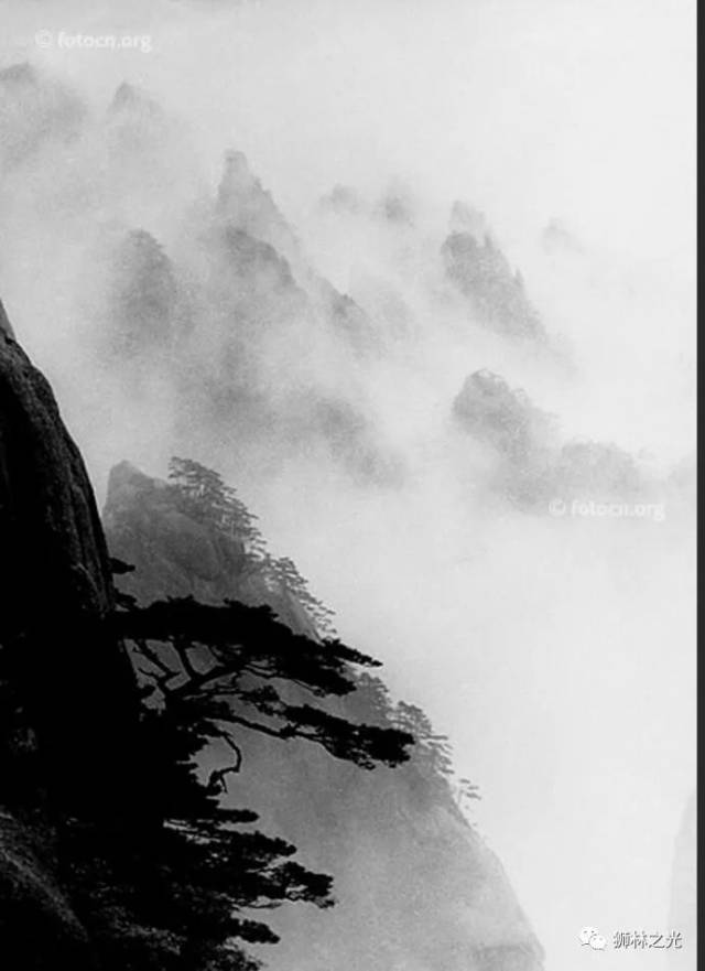 青松长青,光影史话—黄山老照片展(二)