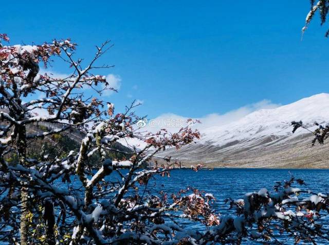 一万个赞!这才是甘孜最美雪景!_手机搜狐网