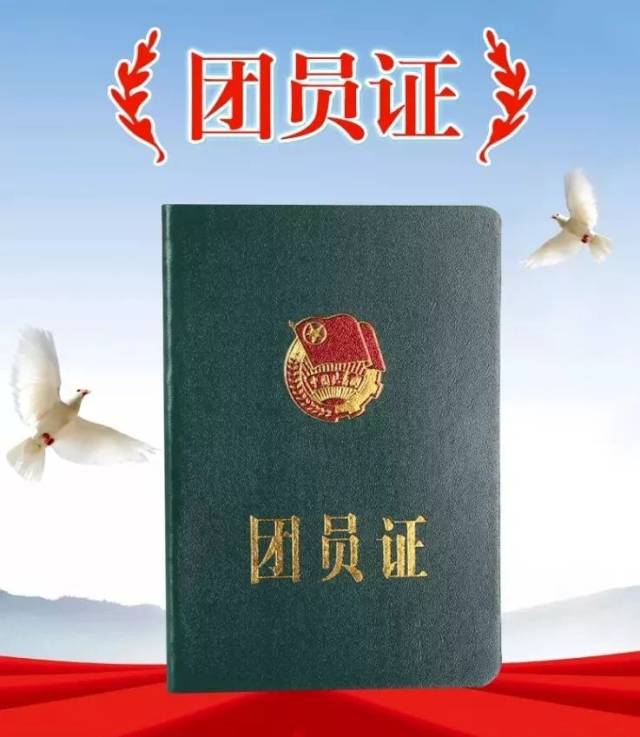 青年大学习微团课团章团员证