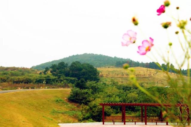 金秋时节,山野丰沛,【那田山水】,你我相约!