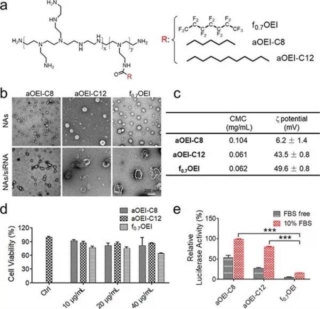 氟化低聚乙烯亚胺纳米组装体因其有效的内涵体逃逸可实现血清环境下