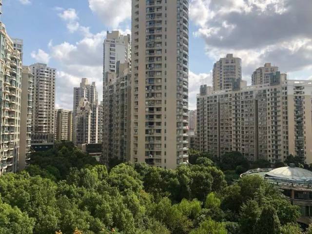 小区全景图,小区业主近3000户,这样体量的小区管理需要业主们的共同