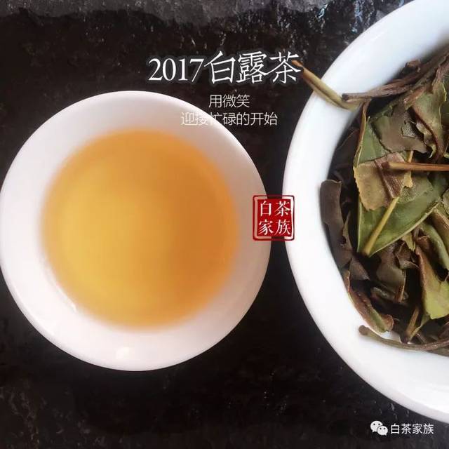 内在比外貌重要的白茶寿眉,你对它有误解吗?