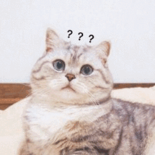 你有一个赚取iphone xs的机会