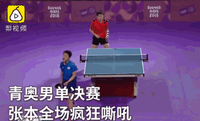 张本智和全场嘶吼,中国小将夺冠后一个动作帅爆!