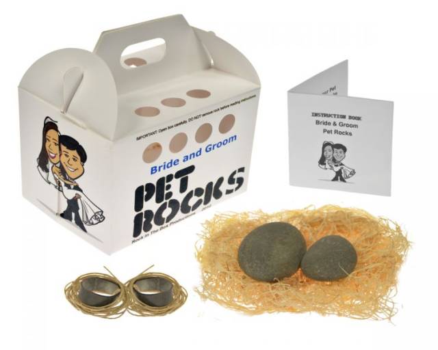 他成为千万富翁的方式太硬 pet rock成为经典商业案例