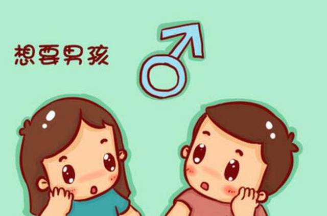 备孕妈妈生男孩的方法有哪些能提高几率