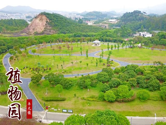 达人户外航拍东莞南城植物园绿色世界360度全景