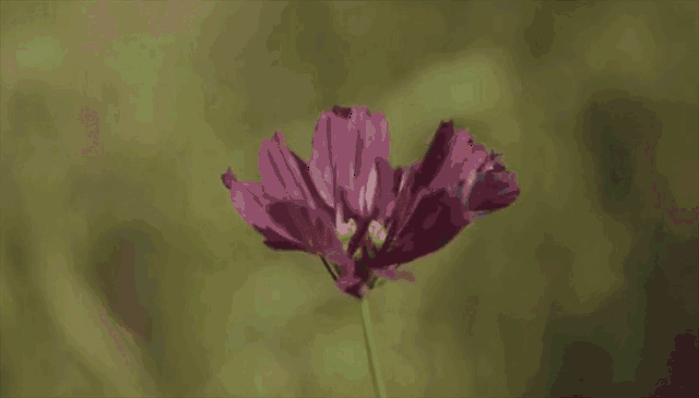 600_342