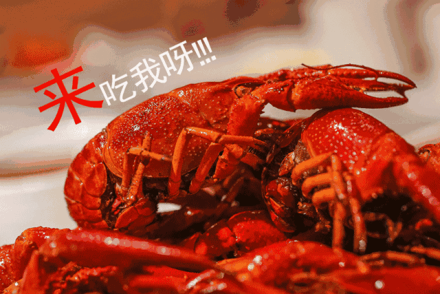 『拙味兄弟龙虾』 ▎让我们 将美味龙虾一网打尽