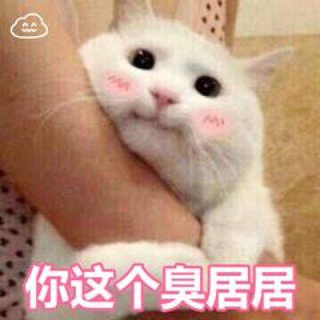 搞笑表情包:你跟我说这些没用用,因为我只是一只猫