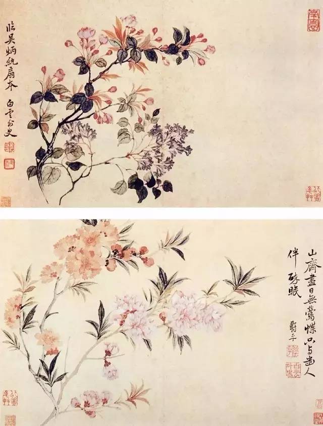 【艺术大师】恽寿平花鸟画作品鉴赏