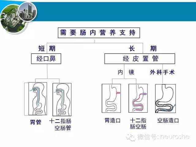 神经外科重症患者肠内营养的护理(ppt)