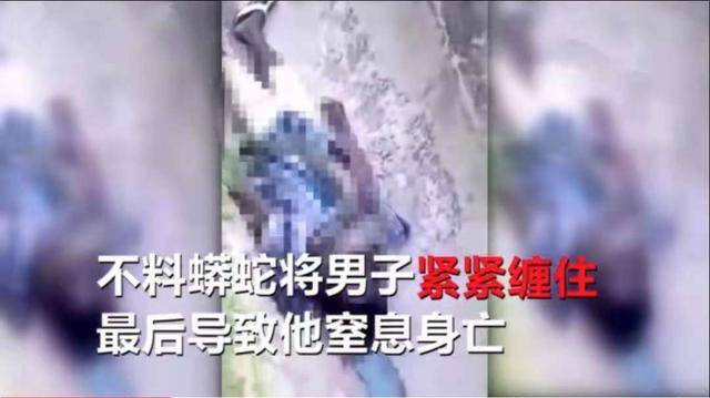 男子遛蛇将其缠绕在自己脖子上,结果爱蛇将其活活勒死!