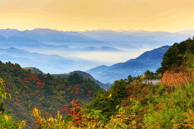 紫柏山风景区