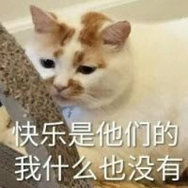 单反,大爷最后的倔强;丝巾,大妈最后的骄傲…-搞笑频道-手机搜狐