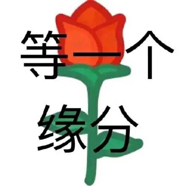 图片来自网络,版权归作者使用,特此说明,如有侵权,请与我们联系删除.