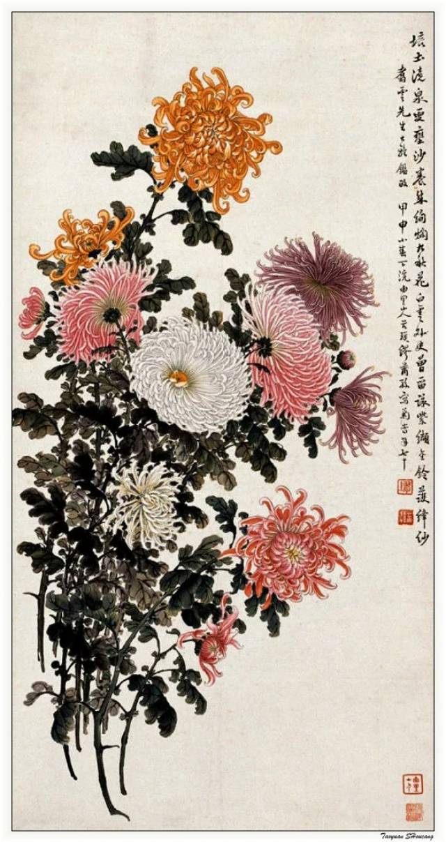 100副历代菊花图(附简单易学教程)