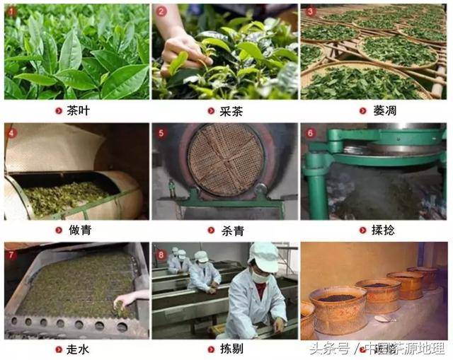 茶知识|大红袍属于红茶,还是乌龙茶?