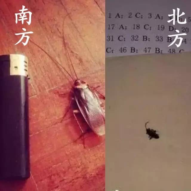 你们北方人在南方菜馆点菜是会被鄙视的!细数南北方差异到底有多大!