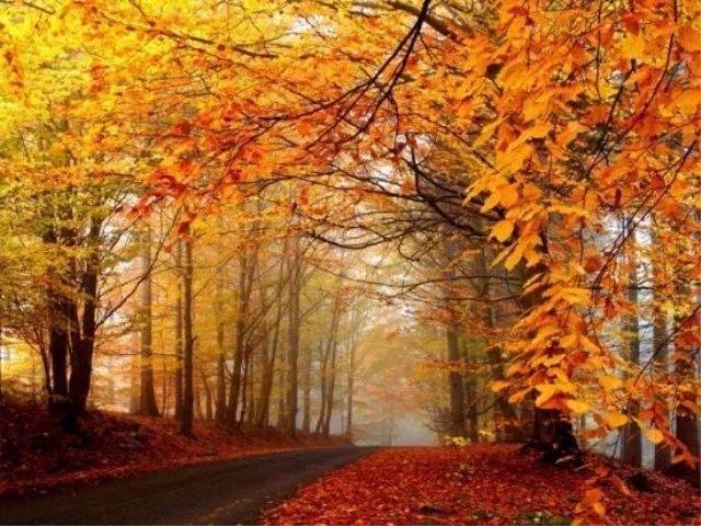 中国最美的20个秋景:观腾冲银杏黄,岳麓山层林尽染,桂林稻谷香