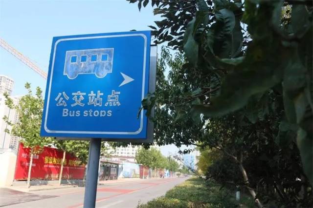 日照青岛路上的公交专用道,你为什么闲着?