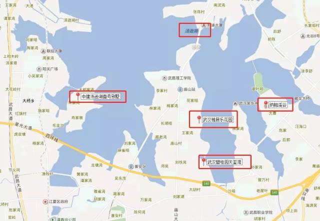 汤逊湖是刚需集聚地?大武汉最贵的豪宅其实就位于江夏