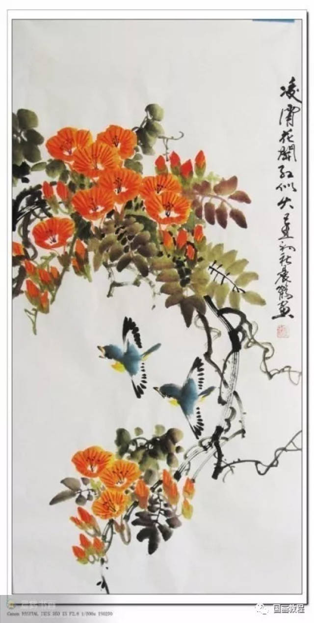 国画凌霄花100幅,收藏起来,临摹学习国画技法,都可以!