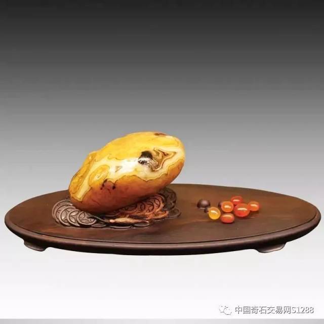 精品"金蟾"奇石欣赏!