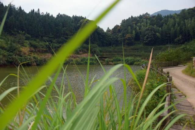 红军入闽第一村:武平高书村~且看它如何念好