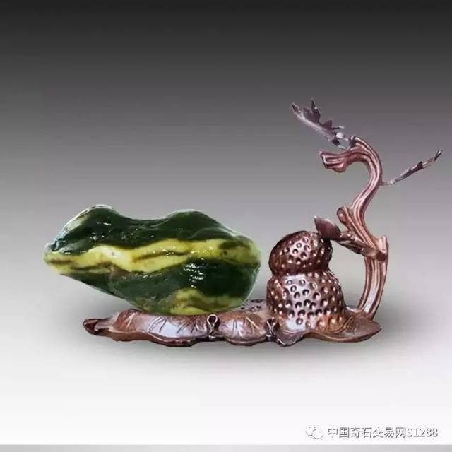 精品"金蟾"奇石欣赏!