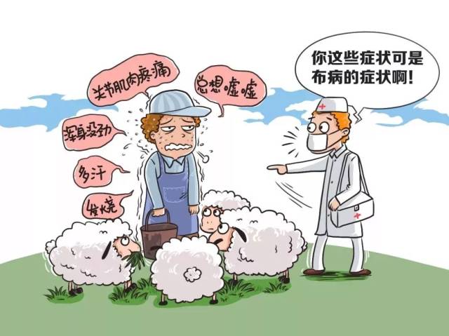 1  什么是布鲁氏菌病? 简称布病,是由布鲁氏菌引起的传染病.