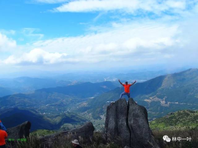 大芹山游记