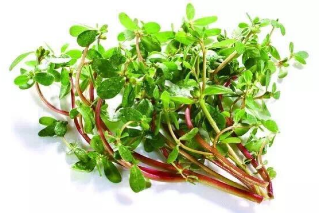 尖锐湿疣想根治?这4点很重要!用这1招,顽固疣