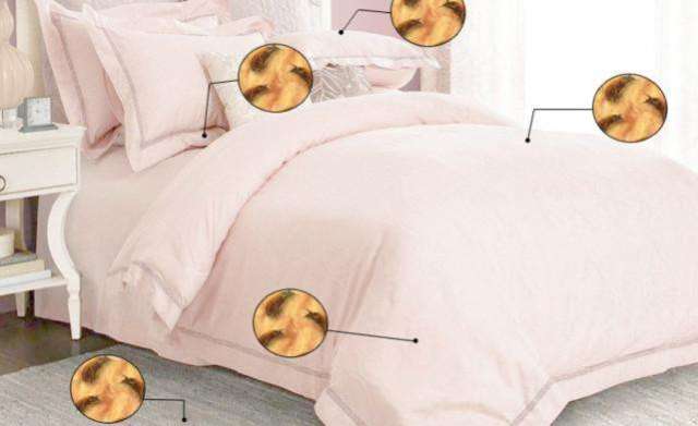 皮肤遭受螨虫叮咬, 脸上会有3个表现, 千万不要