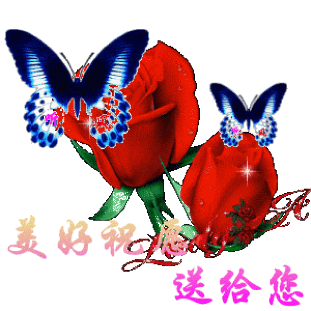 祝你幸福!开心快乐每一天!