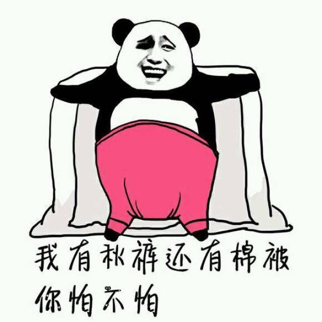 秋裤斗图表情包:穿上秋裤,我就是最美的人
