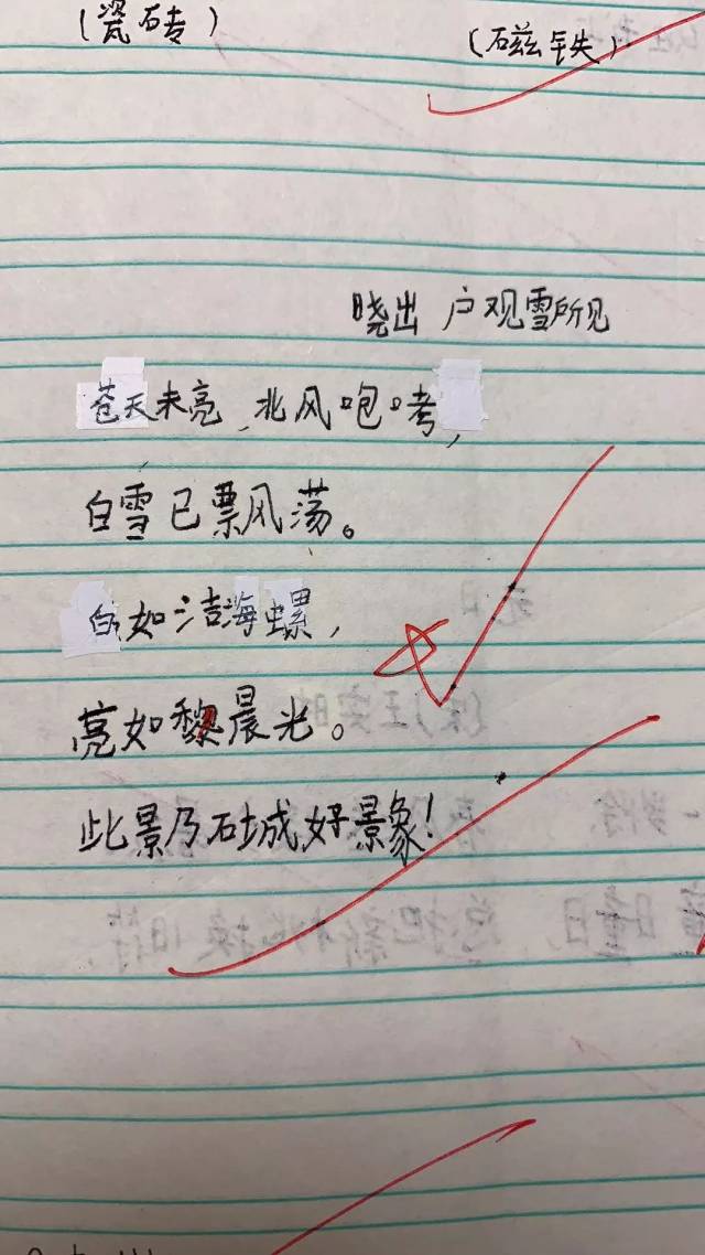 小学生期待秋游作诗:我准备的酸奶过期了