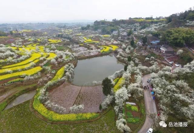 这,就是岳池 未来已来 岳池可期