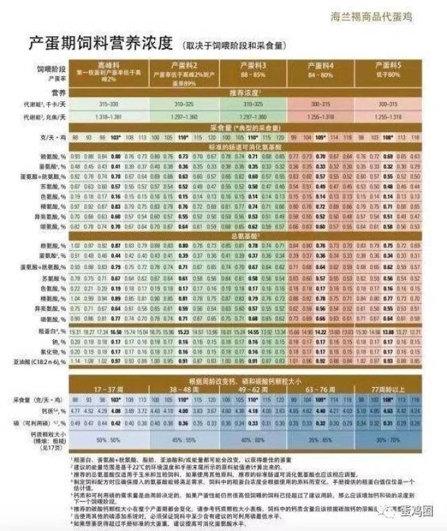 2018版海兰褐商品代蛋鸡饲养管理手册与2016版有哪些区别?