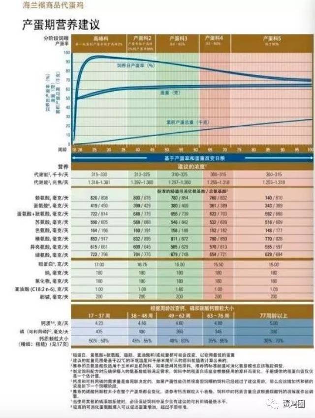 2018版海兰褐商品代蛋鸡饲养管理手册与2016版有哪些区别?